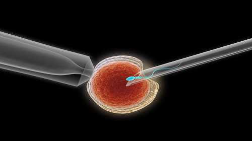 成都合法代孕产子招聘,成都地下供卵试管（