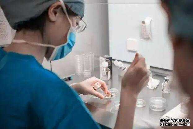 哪里的试管能选择胎儿性别吗_台湾做供卵试管最好的医院_男人吃什么高蛋白食