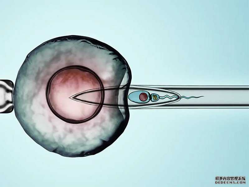 卵巢早衰可以做供卵试管吗_做供精可不可以直接要求试管_蒙脱石散孕妇能吃吗