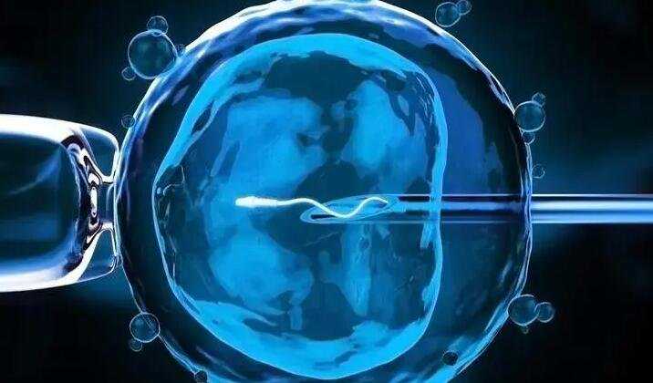 试管放一个胚胎是正确选择_泰国试管可以选性别么_促排卵和自然排出的卵子有